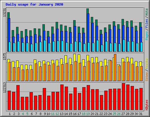 Daily usage for January 2020