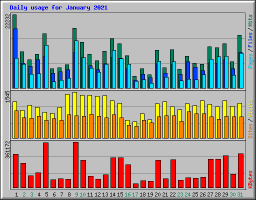 Daily usage for January 2021