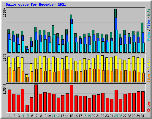 Daily usage for December 2021