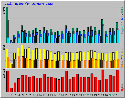 Daily usage for January 2022