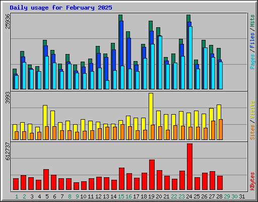 Daily usage for February 2025