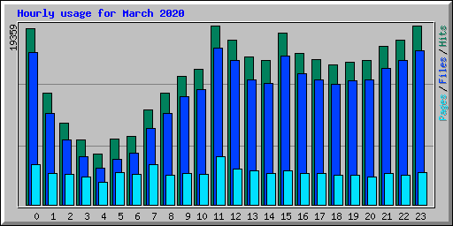 Hourly usage for March 2020