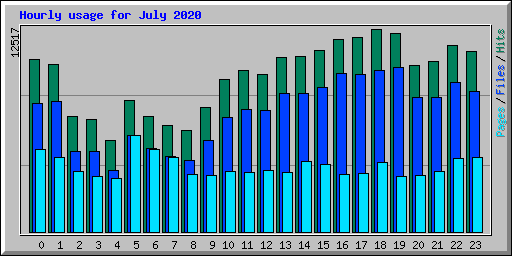 Hourly usage for July 2020