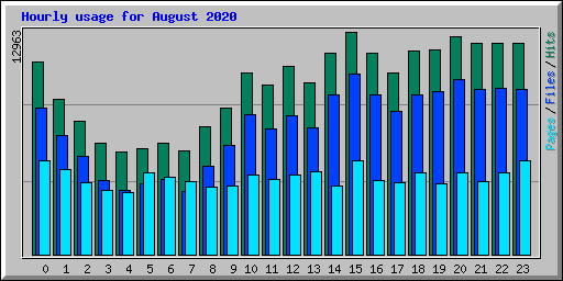 Hourly usage for August 2020