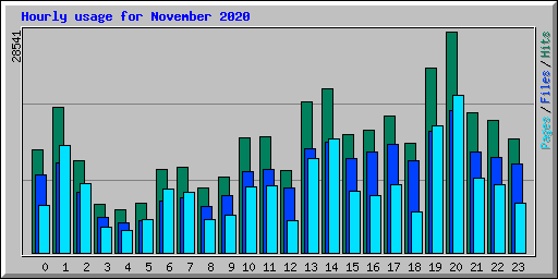 Hourly usage for November 2020