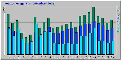 Hourly usage for December 2020