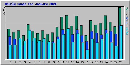 Hourly usage for January 2021