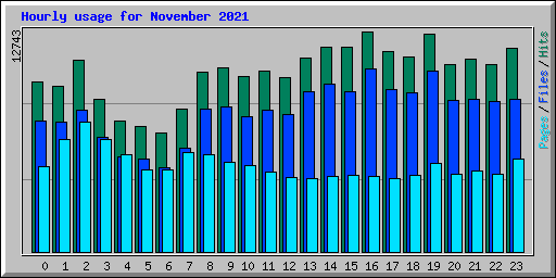 Hourly usage for November 2021