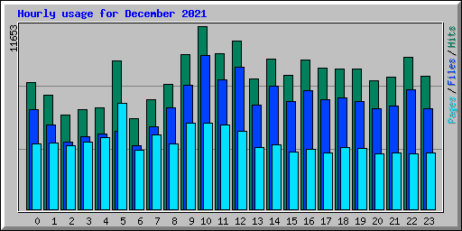 Hourly usage for December 2021