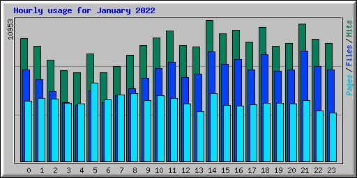 Hourly usage for January 2022