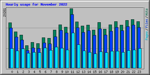 Hourly usage for November 2022