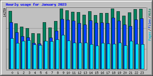 Hourly usage for January 2023