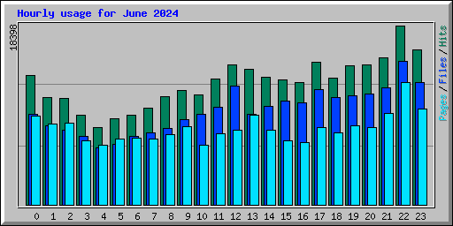 Hourly usage for June 2024