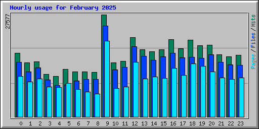 Hourly usage for February 2025