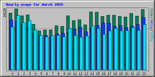 Hourly usage for March 2025