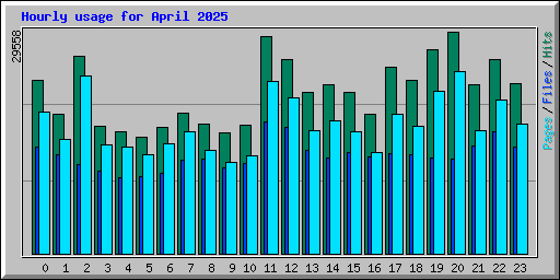 Hourly usage for April 2025