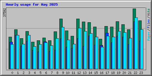Hourly usage for May 2025