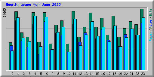 Hourly usage for June 2025