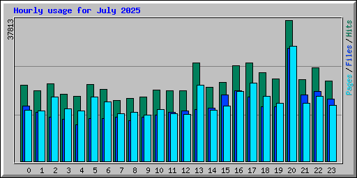 Hourly usage for July 2025