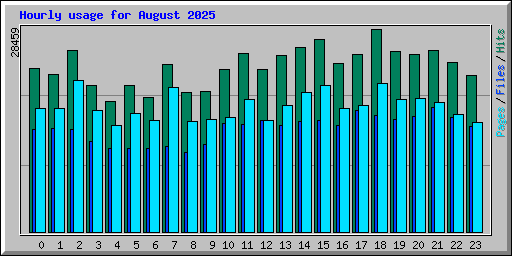Hourly usage for August 2025