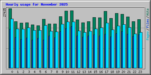 Hourly usage for November 2025