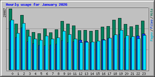 Hourly usage for January 2026
